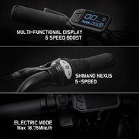 IGOGOMI ALPS 2.0 E-Bike  / 3 folding 5-Speed (Black)