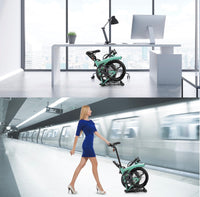 IGOGOMI ALPS  E-Bike 3 folding 3-Speed  (ice blue)