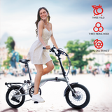 IGOGOMI Alps 3 folding 7-Speed Electric Bicycles(Silver)