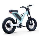 IGOGOMI CUV i5 20” All-Terrain Utility E-Bike