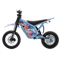 IGOGOMI TRAIL X 4000W Electric Dirt Bike (Custom Colors)