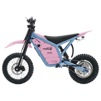 IGOGOMI TRAIL X 4000W Electric Dirt Bike (Custom Colors)