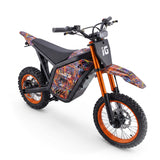 IGOGOMI TRAIL X 4000W Electric Dirt Bike pro