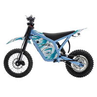 IGOGOMI TRAIL X 4000W Electric Dirt Bike (Custom Colors)