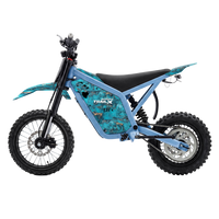 IGOGOMI TRAIL X 4000W Electric Dirt Bike (Custom Colors)