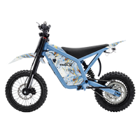 IGOGOMI TRAIL X 4000W Electric Dirt Bike (Custom Colors)
