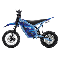 IGOGOMI TRAIL X 4000W Electric Dirt Bike (Custom Colors)