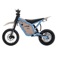 IGOGOMI TRAIL X 4000W Electric Dirt Bike (Custom Colors)