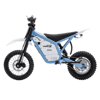 IGOGOMI TRAIL X 4000W Electric Dirt Bike (Custom Colors)