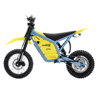 IGOGOMI TRAIL X 4000W Electric Dirt Bike (Custom Colors)