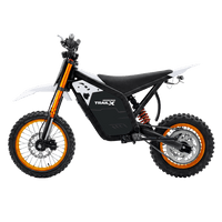 IGOGOMI TRAIL X 4000W Electric Dirt Bike (Custom Colors)