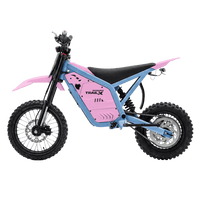 IGOGOMI TRAIL X 4000W Electric Dirt Bike (Custom Colors)