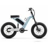 IGOGOMI CUV i5 20” All-Terrain Utility E-Bike