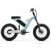 IGOGOMI CUV i5 20” All-Terrain Utility E-Bike