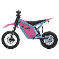IGOGOMI TRAIL X 4000W Electric Dirt Bike (Custom Colors)