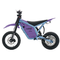 IGOGOMI TRAIL X 4000W Electric Dirt Bike (Custom Colors)