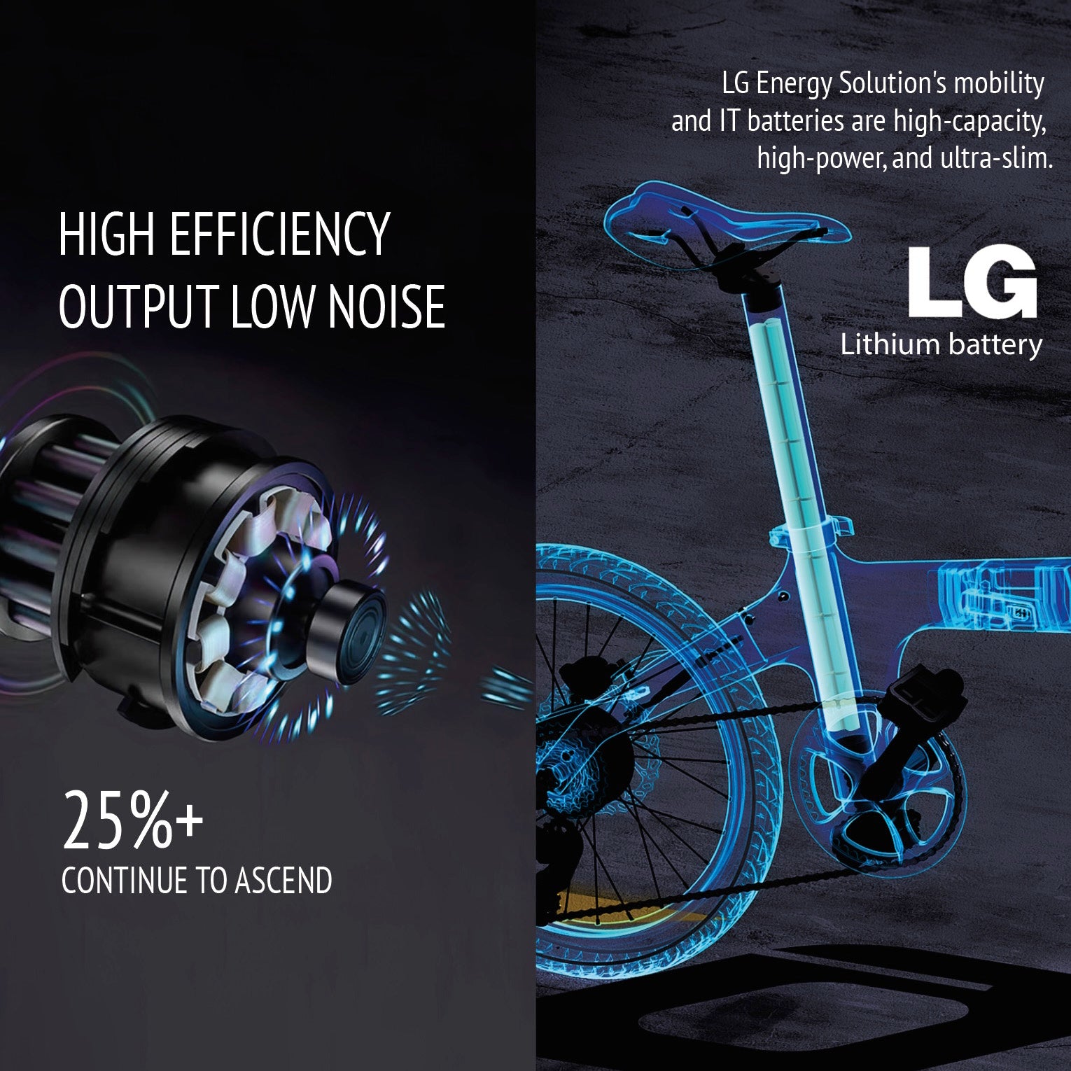 IGOGOMI Eole S  33lbs  36V / 6.84Ah  9speed  Carbon Fiber folding  E-Bike  Personalized custom models