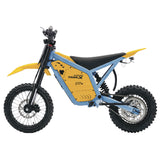 IGOGOMI TRAIL X 4000W Electric Dirt Bike (Custom Colors)