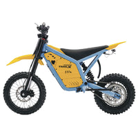 IGOGOMI TRAIL X 4000W Electric Dirt Bike (Custom Colors)